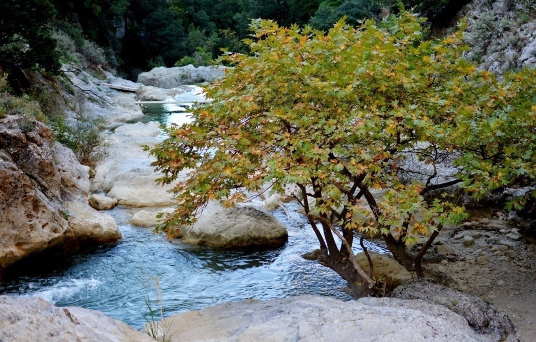 Φαράγγι Αγίου Λουκά 