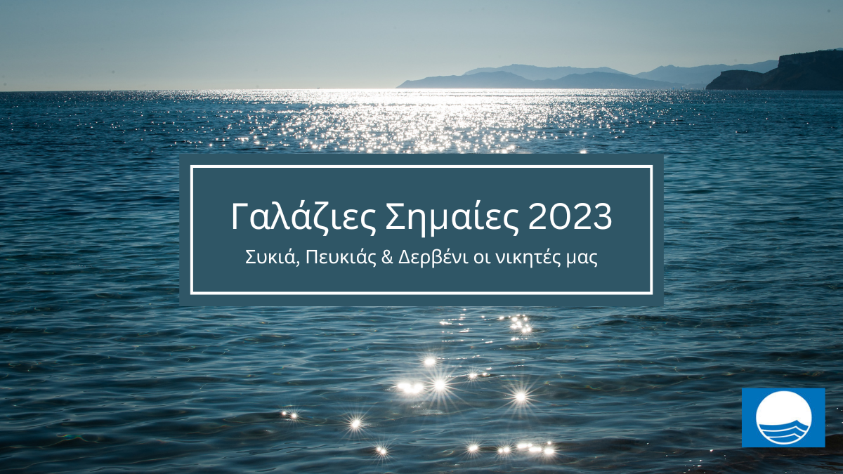 Ο Δήμος μας κερδίζει 3 Γαλάζιες Σημαίες και τις εντυπώσεις!