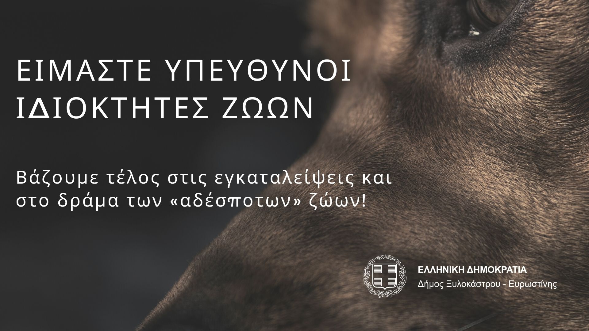 Είμαστε υπεύθυνοι ιδιοκτήτες ζώων
