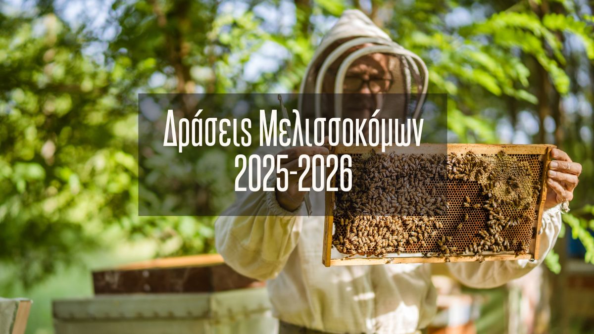 Δράσεις για συμμετοχή Μελισσοκόμων - Έτος 2025