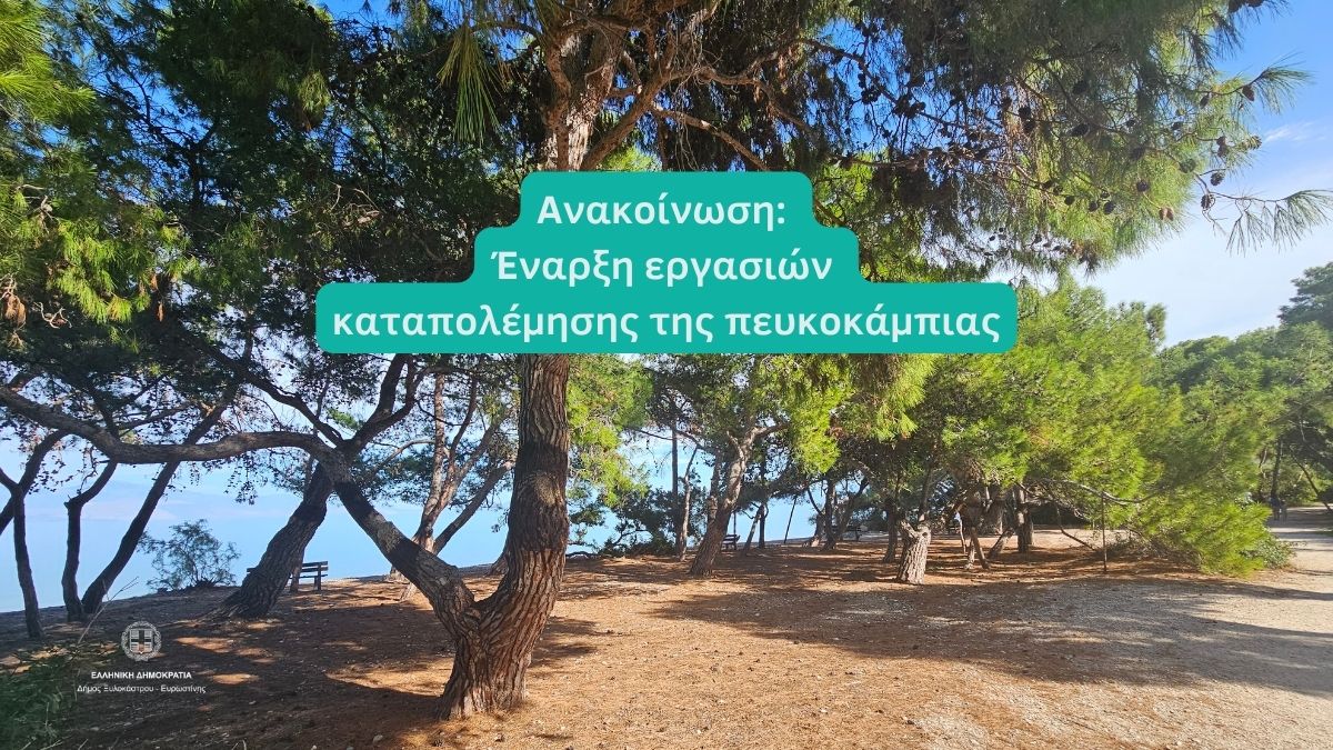 Ανακοίνωση: Έναρξη εργασιών καταπολέμησης της πευκοκάμπιας