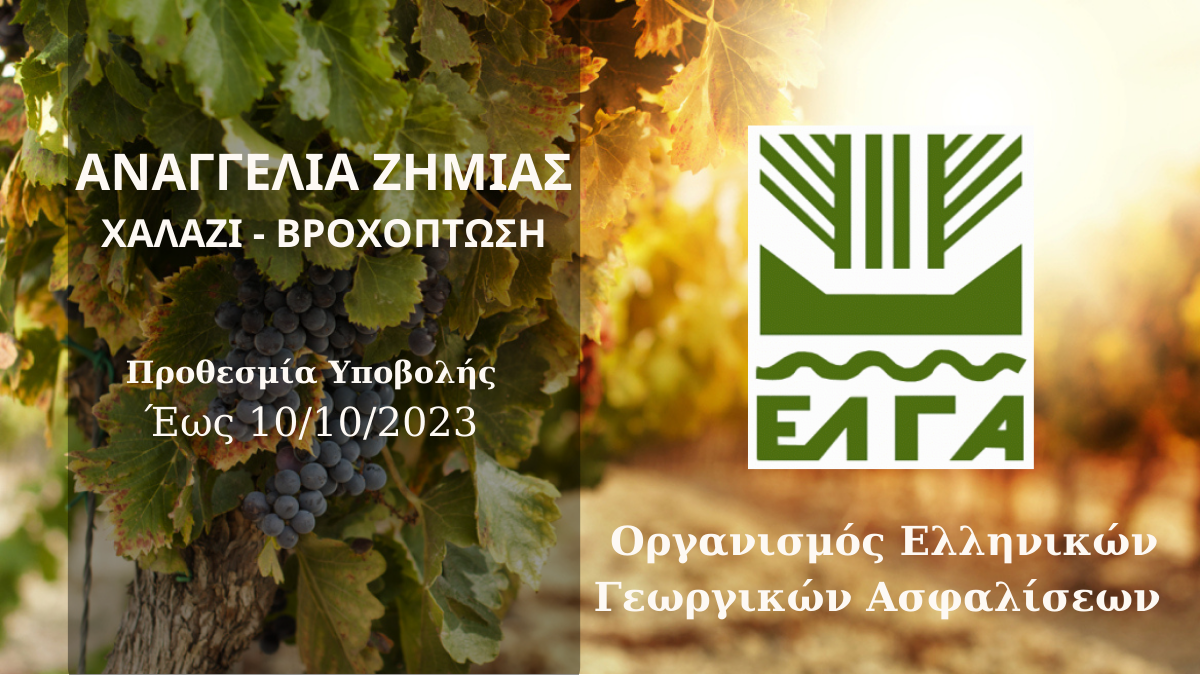 ΕΛΓΑ: Ενάρξη Υποβολής Δηλώσεων Ζημιάς για Χαλάζι - Βροχόπτωση