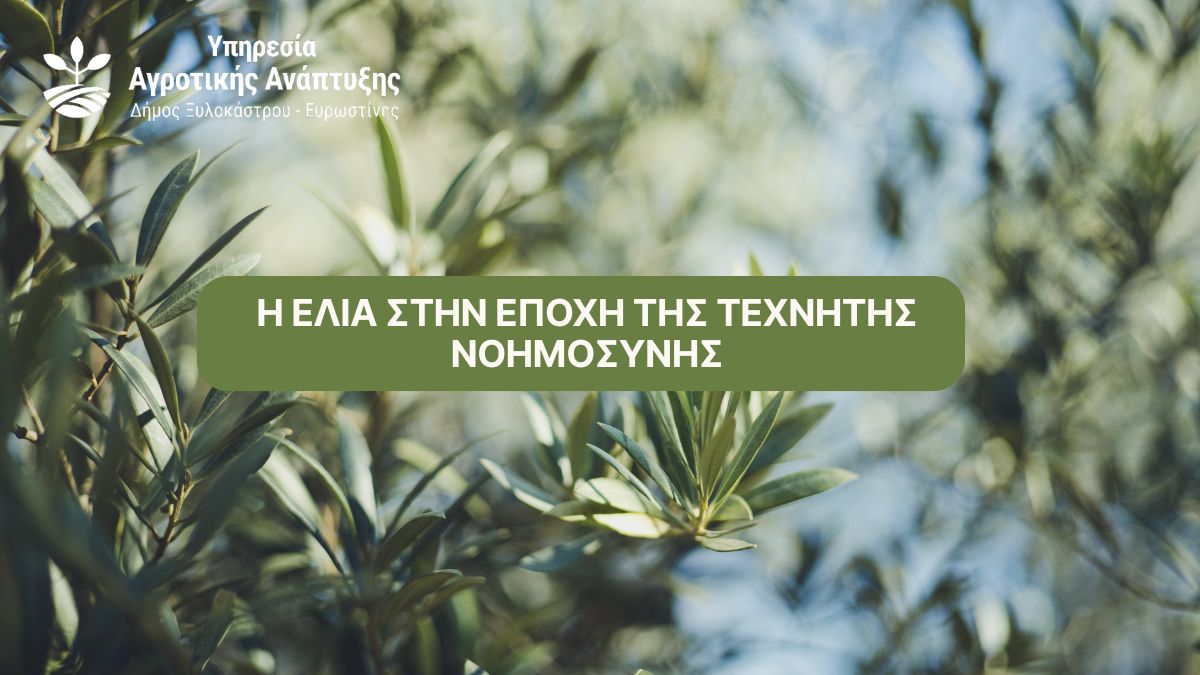 Η Ελιά στην Εποχή της Τεχνητής Νοημοσύνης