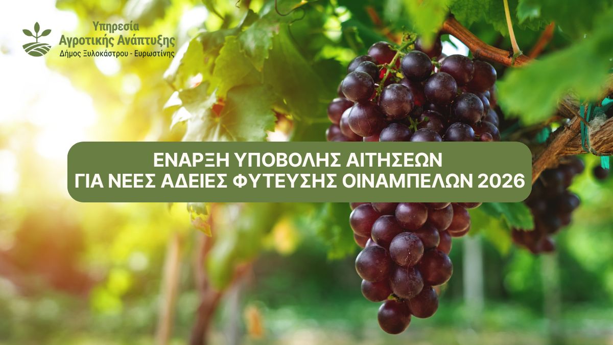 Έναρξη Υποβολής Αιτήσεων για Νέες Άδειες Φύτευσης Οινάμπελων 2026