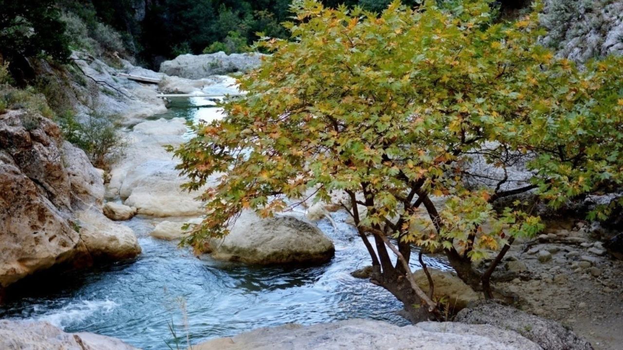 sfedona.gr - Φαράγγι Αγίου Λουκά: Το μυστικό στολίδι του Ξυλοκάστρου για περιπέτεια και δροσιά
