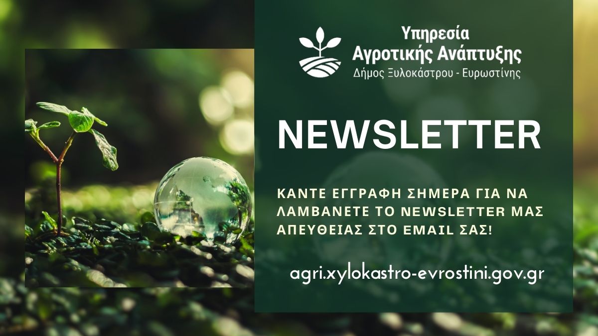 Υπηρεσία Αγροτικής Ανάπτυξης | Newsletter Σεπτεμβρίου