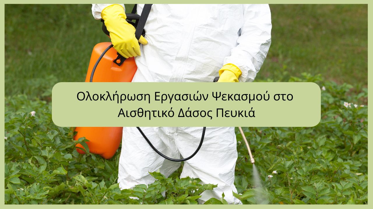 Ολοκλήρωση Εργασιών Ψεκασμού στο Αισθητικό Δάσος Πευκιά