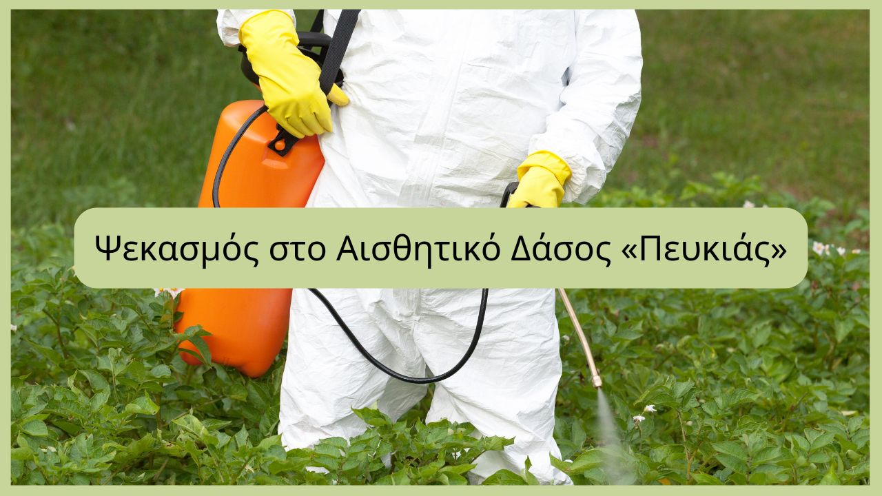 Ψεκασμός στο Αισθητικό Δάσος «Πευκιάς»