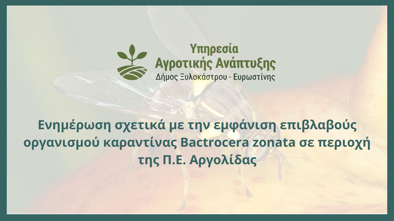 Ενημέρωση σχετικά με την εμφάνιση επιβλαβούς οργανισμού καραντίνας Bactrocera zonata σε περιοχή της Π.Ε. Αργολίδας