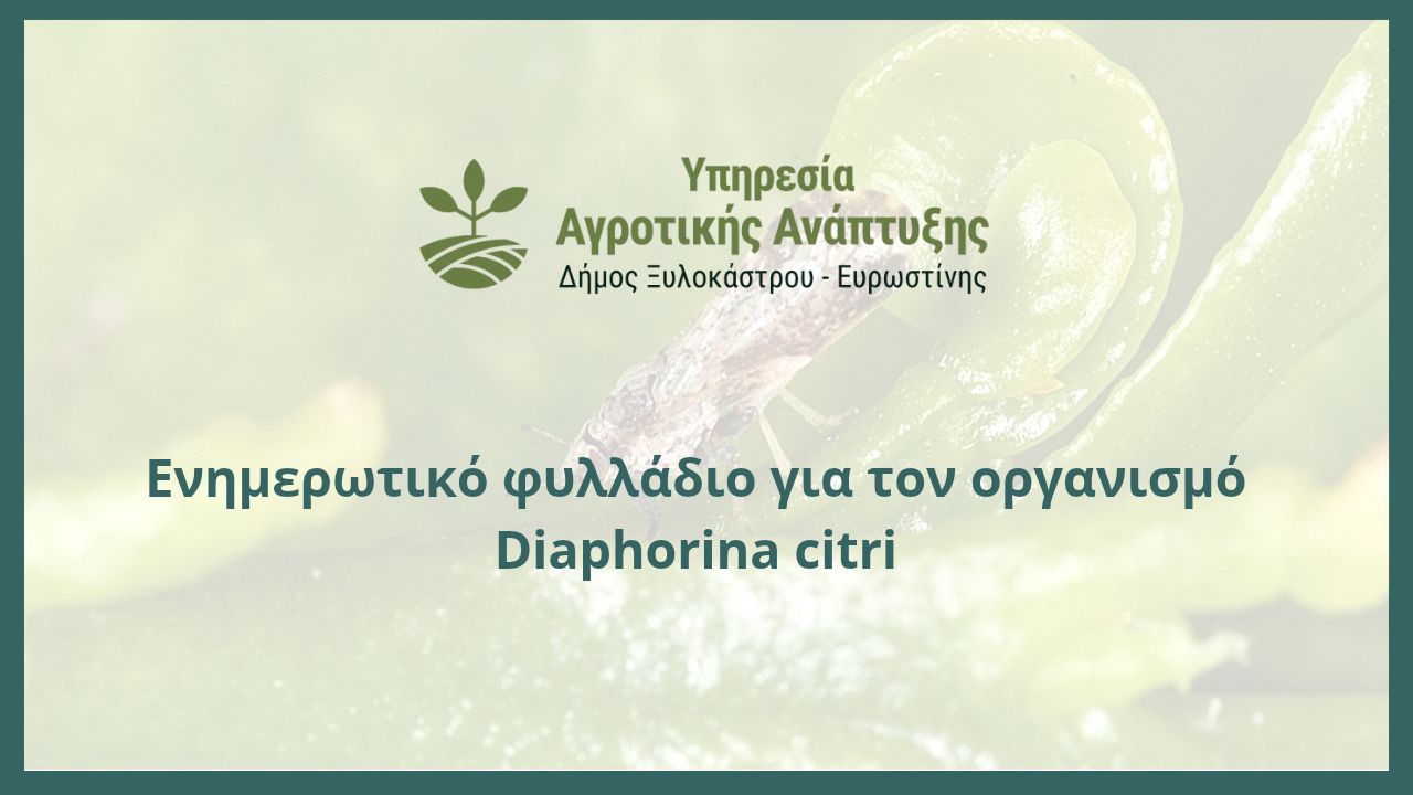 Ενημερωτικό φυλλάδιο για τον οργανισμό Diaphorina citri