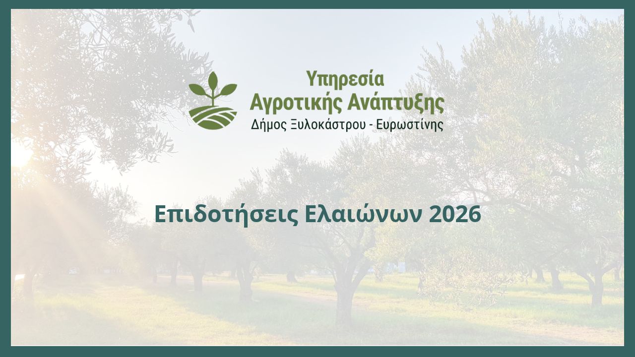 Επιδοτήσεις Ελαιώνων 2026