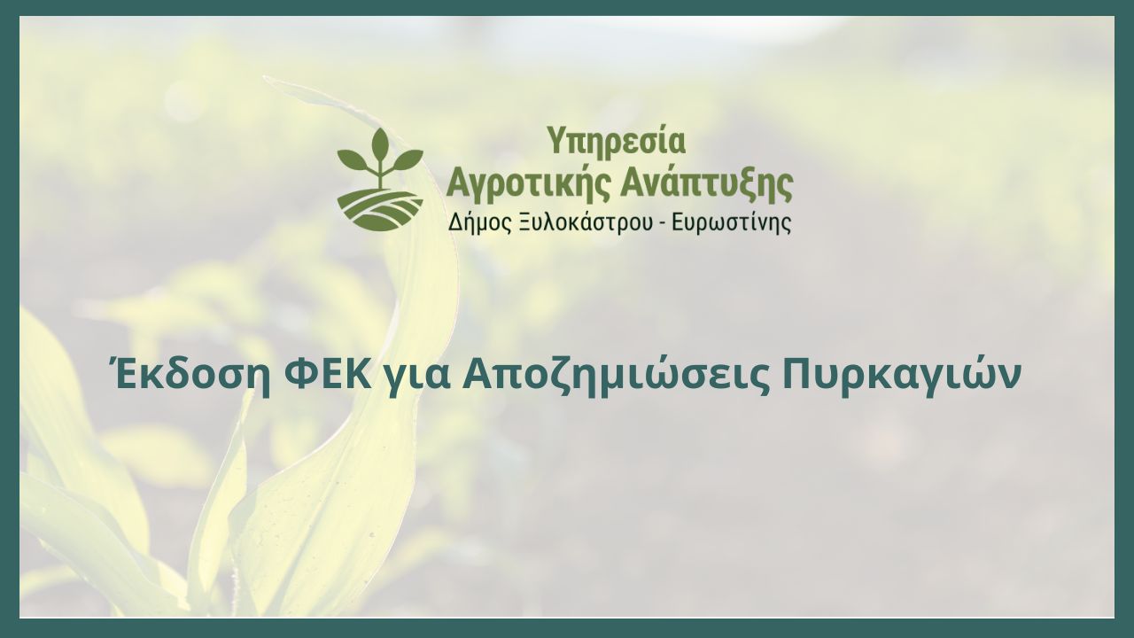 Έκδοση ΦΕΚ για Αποζημιώσεις Πυρκαγιών