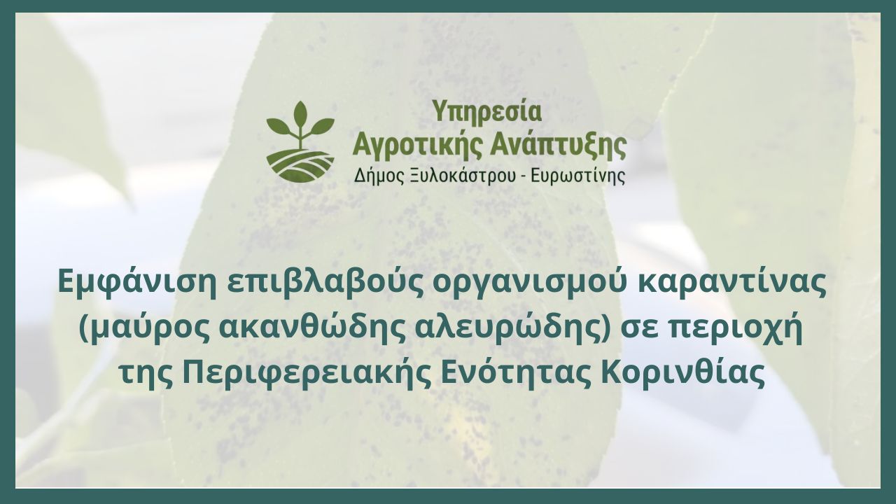 Εμφάνιση επιβλαβούς οργανισμού καραντίνας (μαύρος ακανθώδης αλευρώδης) σε περιοχή της Περιφερειακής Ενότητας Κορινθίας