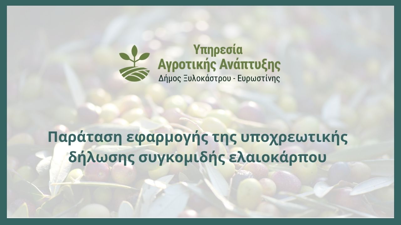 Παράταση εφαρμογής της υποχρεωτικής δήλωσης συγκομιδής ελαιοκάρπου