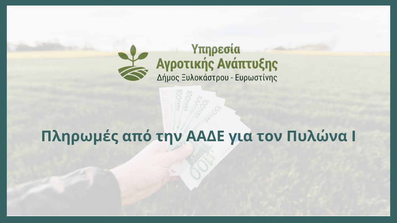 Πληρωμές από την ΑΑΔΕ για τον Πυλώνα Ι