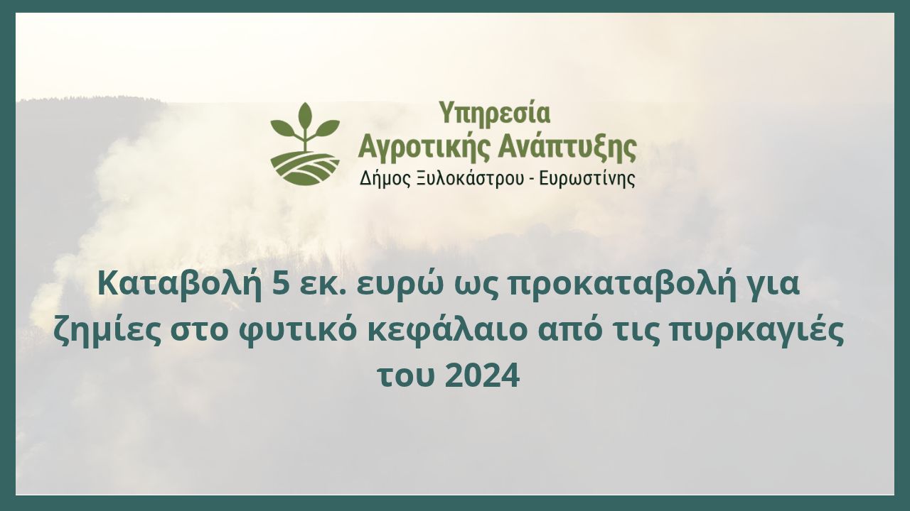 Καταβολή 5 εκ. ευρώ ως προκαταβολή για ζημίες στο φυτικό κεφάλαιο από τις πυρκαγιές του 2024